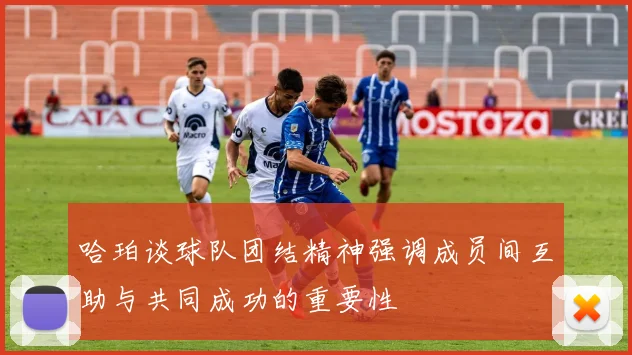 哈珀谈球队团结精神强调成员间互助与共同成功的重要性