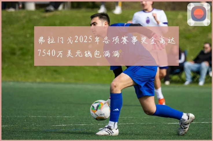 弗拉门戈2025年各项赛事奖金高达7540万美元钱包满满