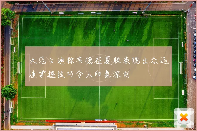 大范甘迪称韦德在夏联表现出众迅速掌握技巧令人印象深刻