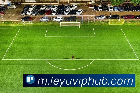 乐鱼体育发展历程